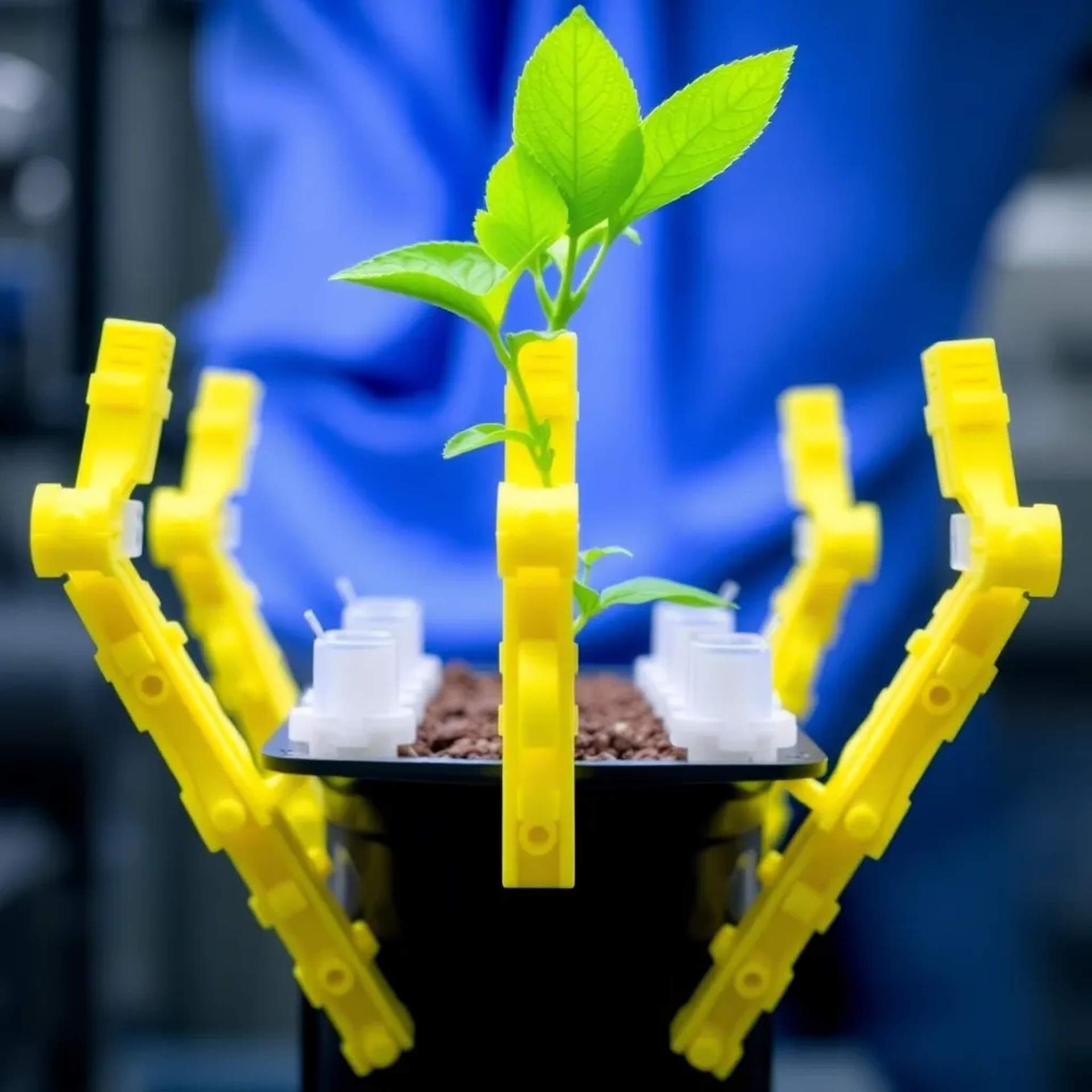 Sustainable Solutions